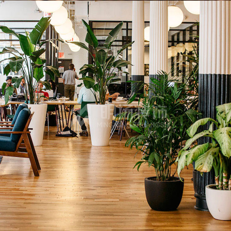 辦公室綠植的好處.jpg 辦公室綠植的好處.jpg