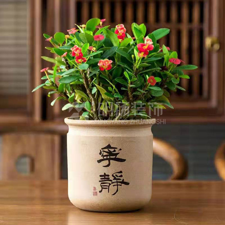 辦公室綠植的好處.jpg 辦公室綠植的好處.jpg